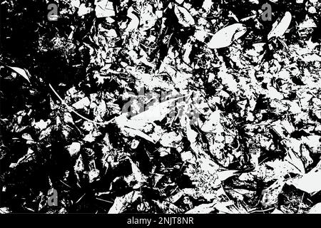 black and white fleck texture, Artistic and natural Texture With Vector EPS format. Stock Vector