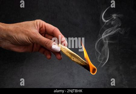 palo santo burning in front of dark background Stock Photo