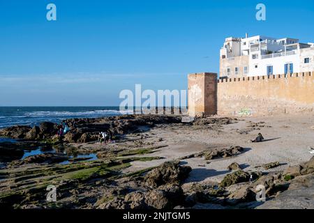 Afrika, Marokko, Essaouira, Festungsmauer und Stadthäuser Stock Photo