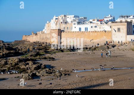 Afrika, Marokko, Essaouira, Festungsmauer und Stadthäuser Stock Photo