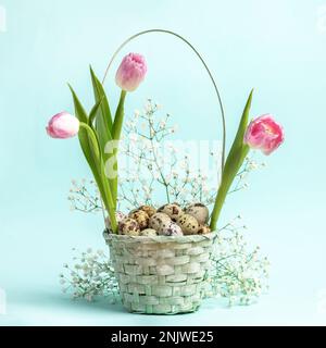 Light blue woven basket with quail eggs, pink tulips and white gypsophila on pastel blue. Easter decorations. Easter festive basket. Holiday card. Ide Stock Photo