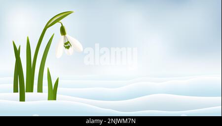Snowdrop flowers in the snow realistic vector Stock Vector