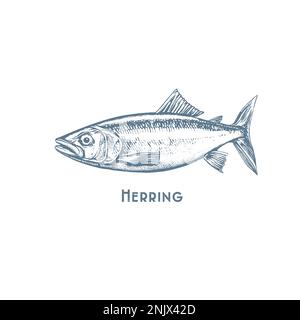Fishes sketch icons of tuna, perch and pike or salmon and marlin. Vector set Stock Vector