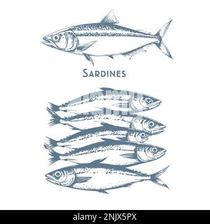 Fishes sketch icons of tuna, perch and pike or salmon and marlin. Vector set Stock Vector