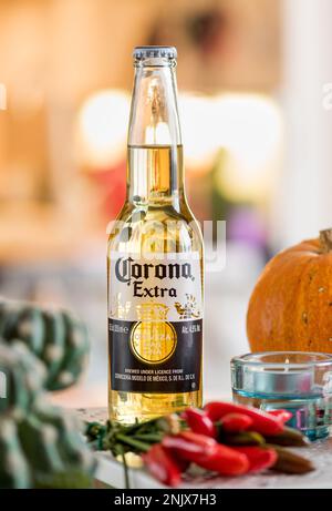 Glass bottle of Corona Extra beer placed on table near pumpkin and red peppers against blurred background Stock Photo