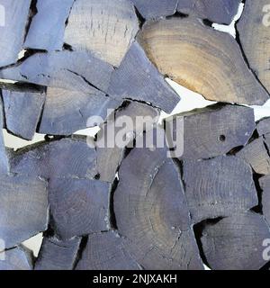 Wood logs isolated white background, closeup Stock Photo
