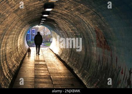 A50 Knutsford Road, Latchford pedestrian tunnel, with a man walking his dog on a lead, south Warrington, Cheshire, England, UK, WA4 Stock Photo