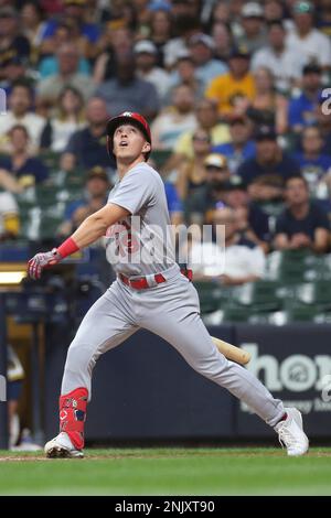 MILWAUKEE, WI - APRIL 07: St. Louis Cardinals second baseman Brendan Donovan  (33) catches a ball during a game between the Milwaukee Brewers and the St.  Louis Cardinals at American Family Field