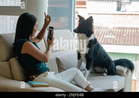 Side view of cheerful young ethnic female owner in casual clothes with long dark hair taking photo of adorable black and white Border Collie on smartp Stock Photo