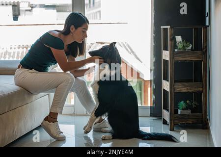 Side view of cheerful young ethnic female owner sitting on sofa and smiling while playing with adorable purebred Border Collie dog standing on hind le Stock Photo
