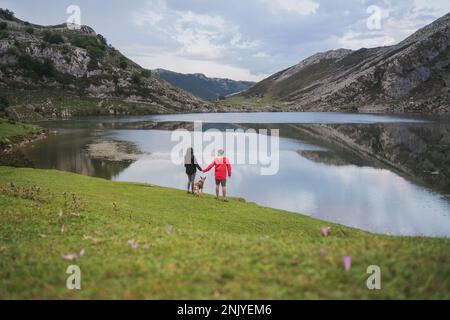 From above back view full body of unrecognizable couple of tourists in outerwear standing near calm mountain lake with dog and holding hands Stock Photo