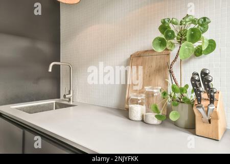 Interior of light modern kitchen with tiled wall and metal sink placed on white counter near set of knives and green plant Stock Photo