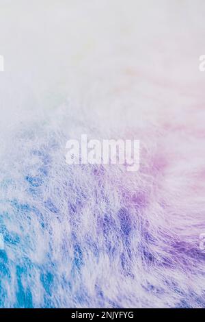 Colorful texture background of fluffy fur with blue and purple colors mixing in gradient Stock Photo