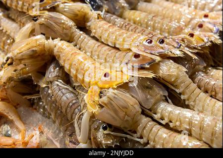 fresh mantis shrimp on the table in the fish market Stock Photo