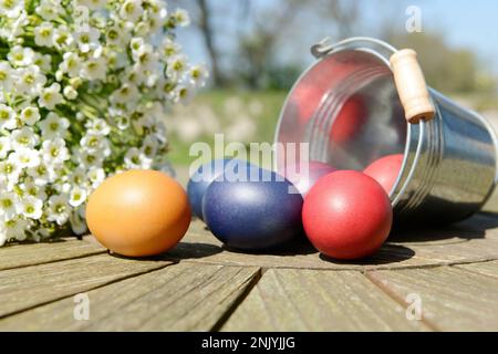 Easter eggs and flower  lying on table in the garden Stock Photo