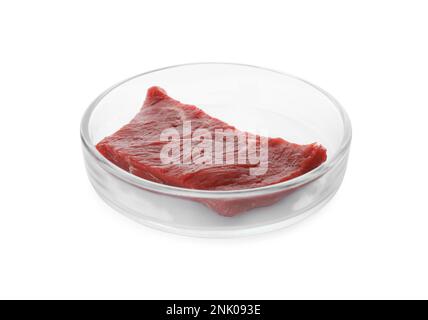 Petri dish with piece of raw cultured meat on white background Stock Photo