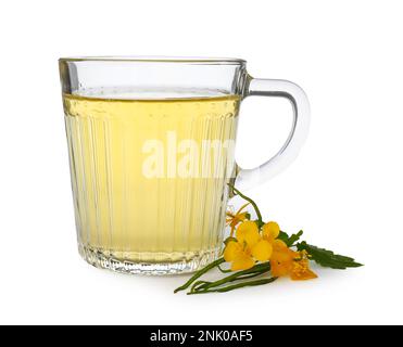 Glass cup of aromatic celandine tea and flowers on white background Stock Photo