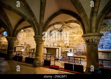 The Undercroft, Crypt and Treasury of York Minster with curved rib vaulting and Norman carved capitals and pillars in York, England. Stock Photo