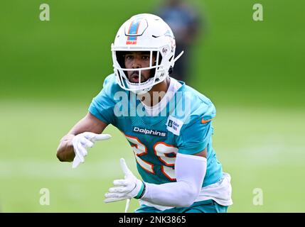 Miami Dolphins safety Brandon Jones (29) eyes the quarterback as