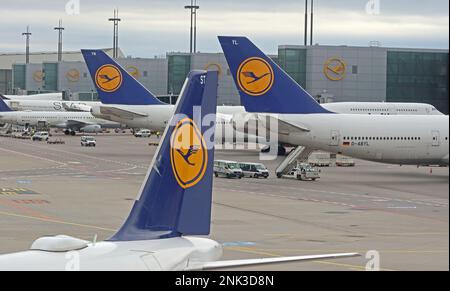 Three planes, multiple Lufthansa aircraft at Frankfurt airport , Hesse, Germany Stock Photo