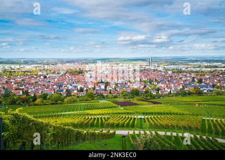 Germany, Fellbach city skyline vineyard panorama view autumn season above roofs houses tower at sunset time Stock Photo