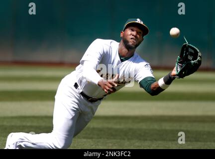 Oakland Athletics' Jurickson Profar makes a diving catch of a blooper  News Photo - Getty Images