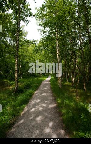 Schiermonnikoog, Nederland / Netherlands Stock Photo