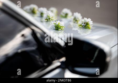 Car Decoration For A Wedding Decorations On The Car Of The