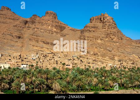 Afrika, Marokko, Südmarokko, Oase Tadakoust, nördlich der Stadt Tata Stock Photo