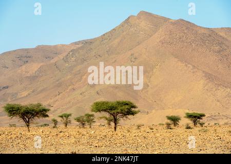 Afrika, Marokko, Südmarokko, Landschaft nördlich der Stadt Tata Stock Photo