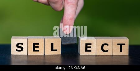Wooden cubes form the word select. Stock Photo