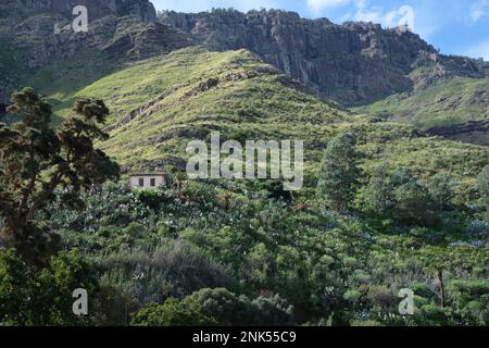 A small abandoned house on a steep hillside in Gran Canaria Stock Photo