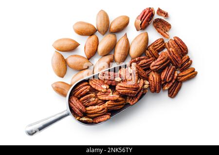 Peeled pecan nuts in scoop isolated on the white background. Stock Photo