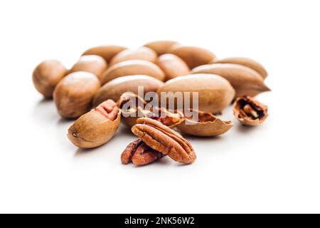Peeled pecan nuts isolated on the white background. Stock Photo