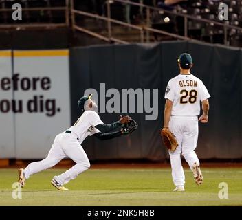 Oakland Athletics' Jurickson Profar makes a diving catch of a blooper  News Photo - Getty Images