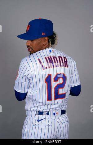 Francisco Lindor New York Mets New 2023 Season Print Baseball Shirt L | PrintWizards Store