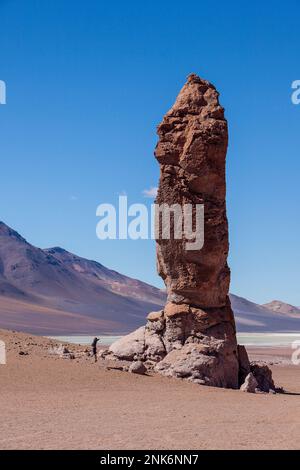 Monjes de Pacana (Monks of Pacana), Volcanic rock formation, pyroclastic bombs, Altiplano, Puna, in Salar de Aguas Calientes, and near Salar de de Tar Stock Photo