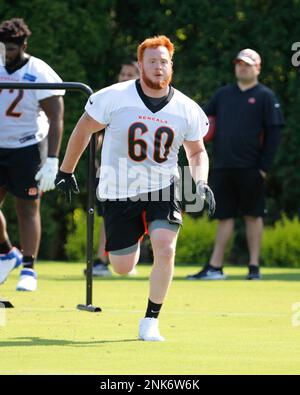 CINCINNATI, OH - MAY 13: Cincinnati Bengals Jack Sorenson (14) takes part  in drills during the Cinci