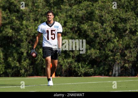 Cincinnati Bengals' Jack Sorenson makes a catch as he takes part in drills  at the NFL football team's rookie minicamp in Cincinnati, Friday, May 13,  2022. (AP Photo/Aaron Doster Stock Photo - Alamy