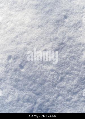 top view of surface of natural snow in winter afternoon Stock Photo