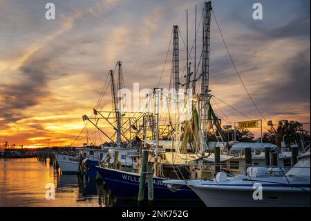 Shrimp boats in the harbor at sunset, Pass Christian, Mississippi, USA. Stock Photo