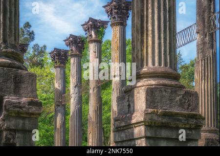 Windsor Ruins near Port Gibson, Mississippi, ruins of one of the largest antebellum homes ever built, located off the Natchez Trace Parkway, USA. Stock Photo