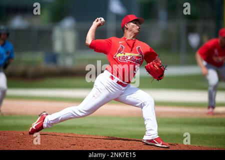 St. Louis Cardinals pitcher Edgar Escobar (33) during a MiLB