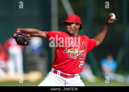 Kansas City, MO, USA. 13th Aug, 2021. Kansas City Royals relief pitcher  Domingo Tapia (31) delivers a pitch in relief at Kauffman Stadium in Kansas  City, MO. Cardinals defeated the Royals 6-0.