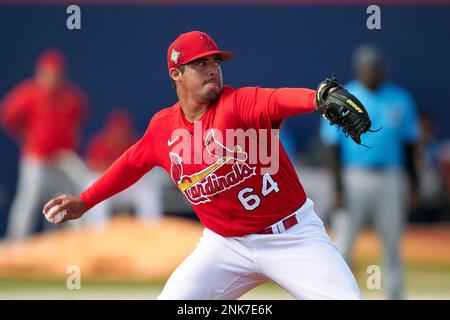 This is a 2022 photo of Freddy Pacheco of the St. Louis Cardinals baseball  team. This image reflects the St. Louis Cardinals active roster Saturday,  March 19, 2022, in Jupiter Fla., when