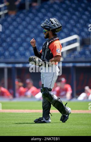 Houston Astros catcher Jose Alvarez (96) throws down to second