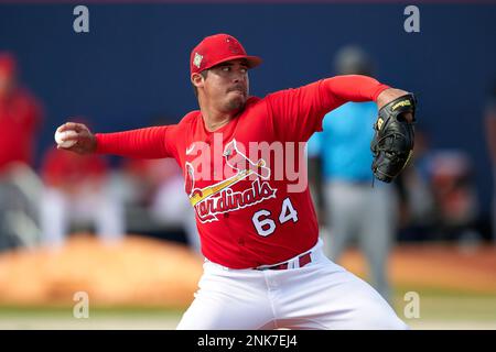 This is a 2022 photo of Freddy Pacheco of the St. Louis Cardinals baseball  team. This image reflects the St. Louis Cardinals active roster Saturday,  March 19, 2022, in Jupiter Fla., when