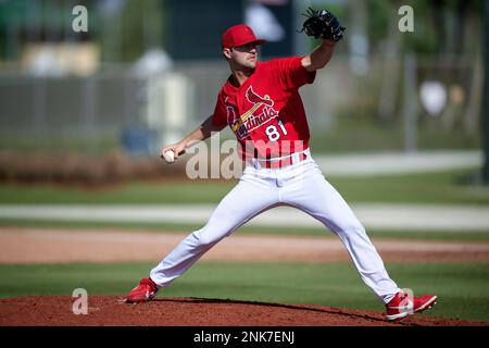 St. Louis Cardinals relief pitcher James Naile throws a pitch