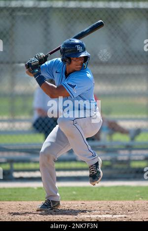 FCL Rays catcher Felix Salguera (86) throwing during a Florida