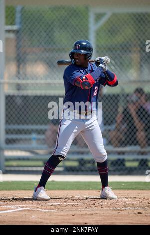 Minnesota Twins catcher Chris Williams (33) during a MiLB Spring Training  game against the Tampa Bay Rays on March 18, 2022 at the CenturyLink Sports  Complex in Fort Myers, Florida. (Mike Janes/Four